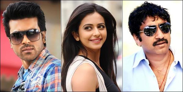 rakul preet singh,brucelee,ram charan,sreenuvaitla  రకుల్ ని బాగా వాడారు!